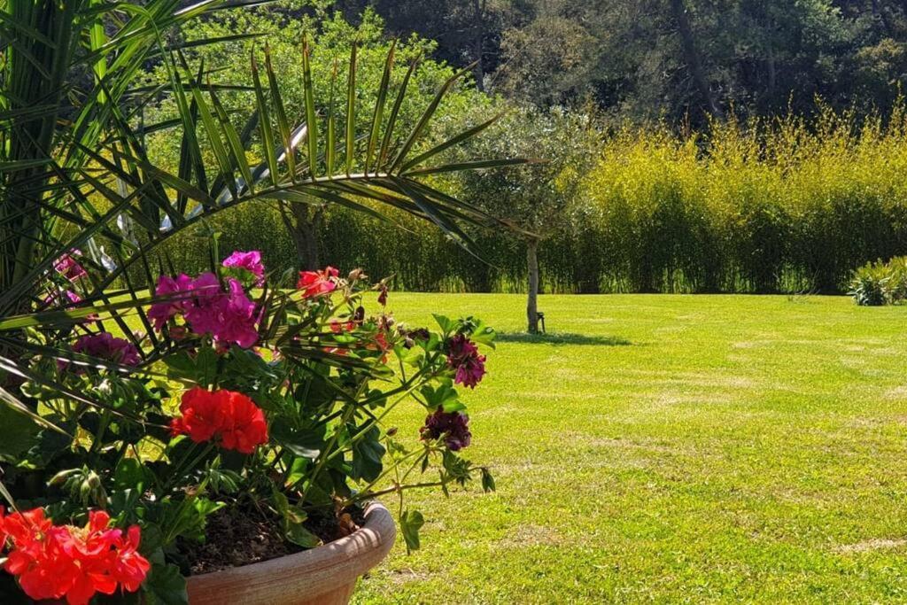 Les Prairies De Fenestrelle Spa & Piscine Au Calme Aubagne Ngoại thất bức ảnh