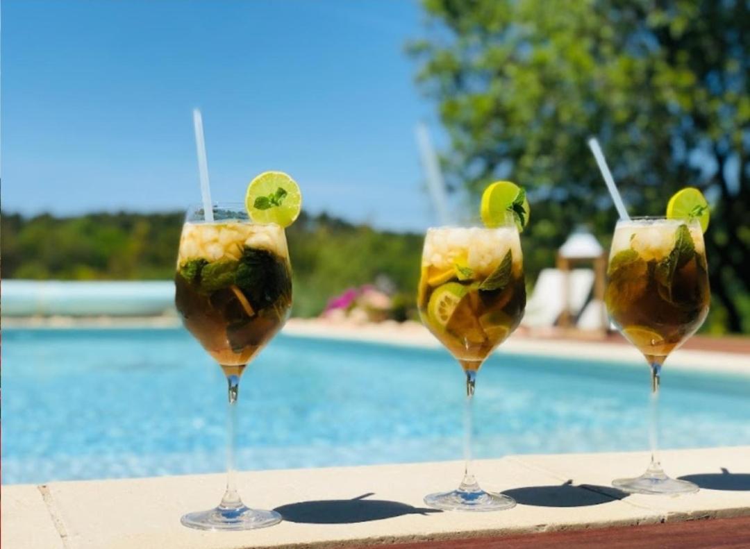 Les Prairies De Fenestrelle Spa & Piscine Au Calme Aubagne Ngoại thất bức ảnh